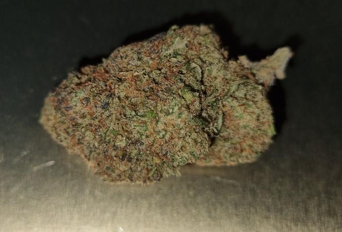 Fleurs CBD Blackberry Kush 13% CBD – Indoor Hydro